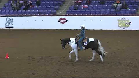 APHA World Show 2012 14-18 Horsemanship