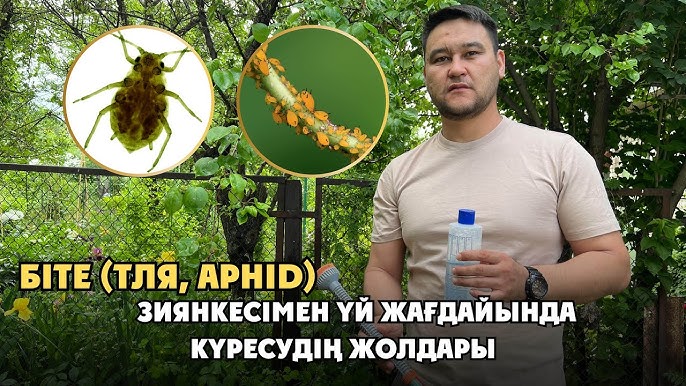 Анальный секс орыс порно видео
