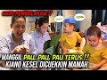 Kebiasaan MANGGIL PAU PAU trus, MALAH Kianonya KESEL sekarang DICUEKIN 🤣 ‼️