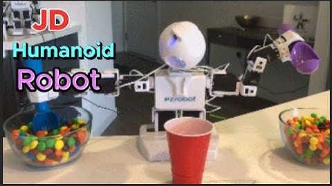 EZ-Robot JD Humanoid Robot, What is the JD robot program?