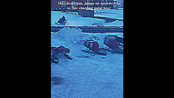 Man Drops Gun Jumps On Snowmobile To Flee Charging Polar Bear New News Shortvideo 