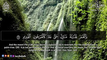 سورة يس كاملة 💝 بأروع وأجمل صوت   القارئ حذيفة الكعيد  Surah Yasin