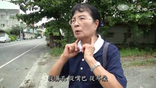 【大愛人物誌】20150921 - 921專題 - 總論