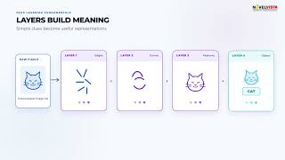 The AI Landscape Explained: Machine Learning vs Deep Learning vs Foundation Models