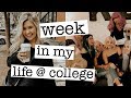 college week in my life: working out, cooking, wig party, cleaning apartment