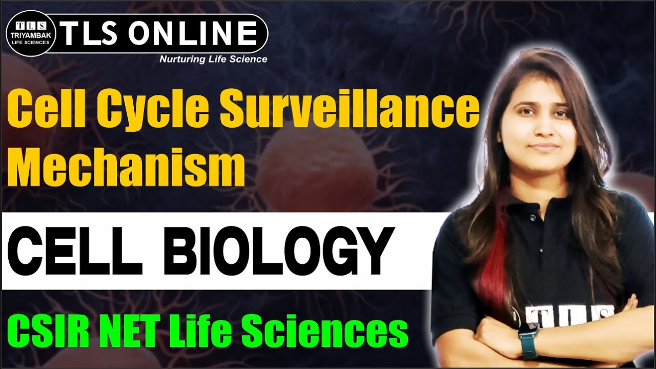 Cell Cycle Surveillance Mechanism | Cell Biology | CSIR NET Life Sciences 2025 | Shruti Shukla