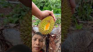 Durian jatuh🤤🤤👏🏽👏🏽 #durian #cuttingfriuts #shortvideo #shorts