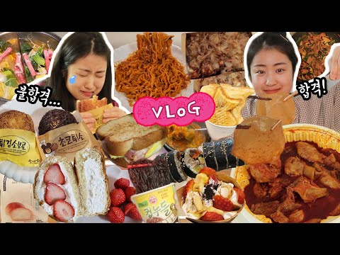 🚕운전면허 따기 힘드네😭 엽기닭도리탕, 동전당면, 치즈불닭, 타코야끼, 성심당 튀김소보로, 연세우유생크림빵, 이삭토스트 먹방 브이로그 │ 장내기능, <strong>도로주행</strong> 후기