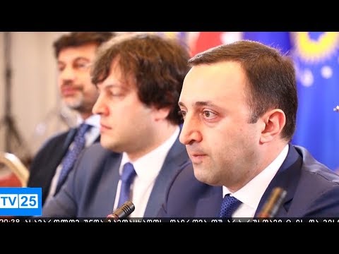 ბიძინა ივანიშვილის მთავარი აქცენტები