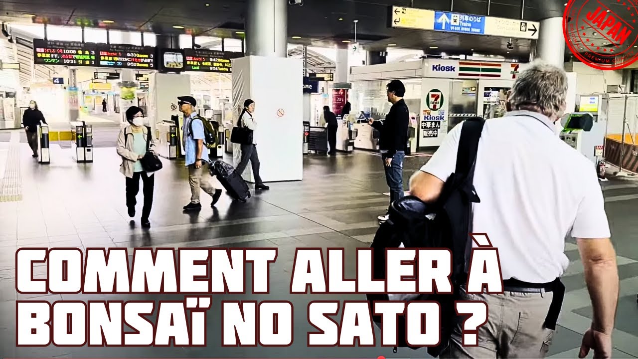 ОТ ТАКАМАЦУ ДО КОКУБУ ДО КООПЕРАТИВА БОНСАЙ НО САТО 🌱 НЭДЗИКАН БОНСАЙ 🌱