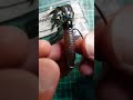 このワーム知ってる？