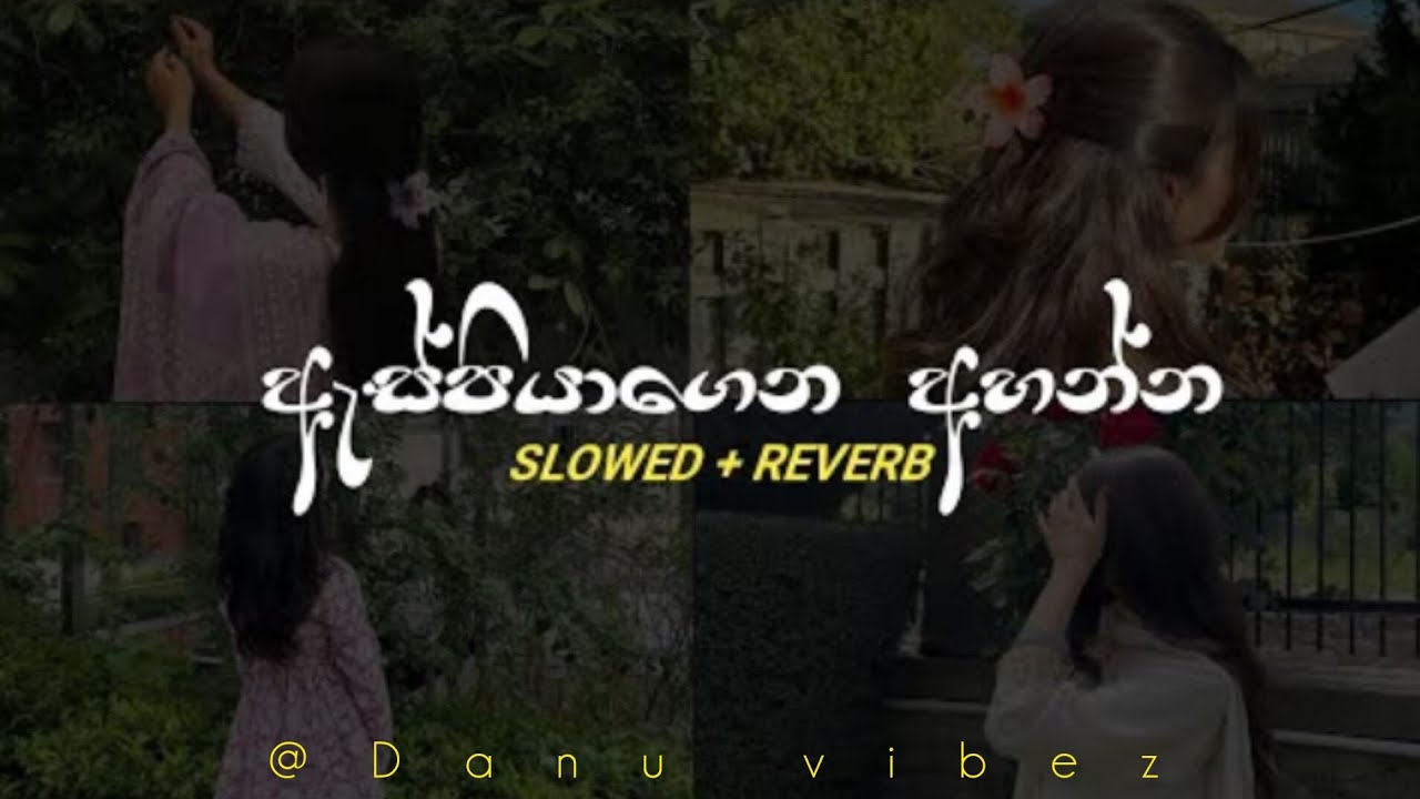 රෑ තනියම අහන්න | Manoparakata    song  collection | @Danu _vibez