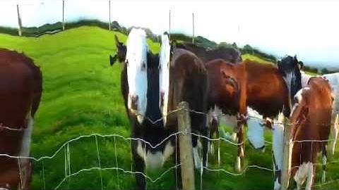 Video effects on the Raspberry Pi - Slit scan weirdness