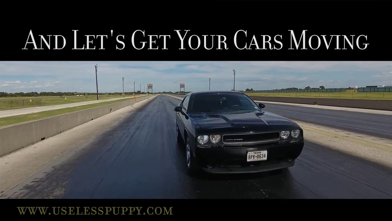 Useless Puppy Car Commercials