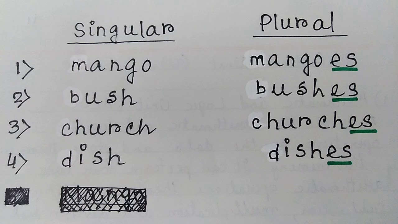 Class 1 English Grammar Singular and Plural Nouns - YouTube