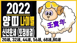 2022년의 양띠운세/임인년  양띠운세/ 양띠 나이별 신년운세/월별 토정비결