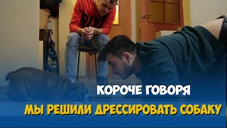 КОРОЧЕ ГОВОРЯ, ДРЕССИРУЕМ СОБАКУ 100 КОМАНД