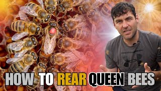 How to Rear Queen Bees