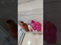double door fridge water leakage problem solve