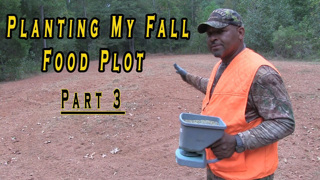 Planting Fall Food Plots Part 3 YouTube