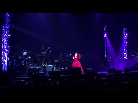周慧敏 30周年演唱会《孤单的心痛》大马云顶2019