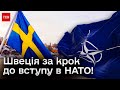 ❗ Майже в НАТО! Що заважало Швеції останній рік?