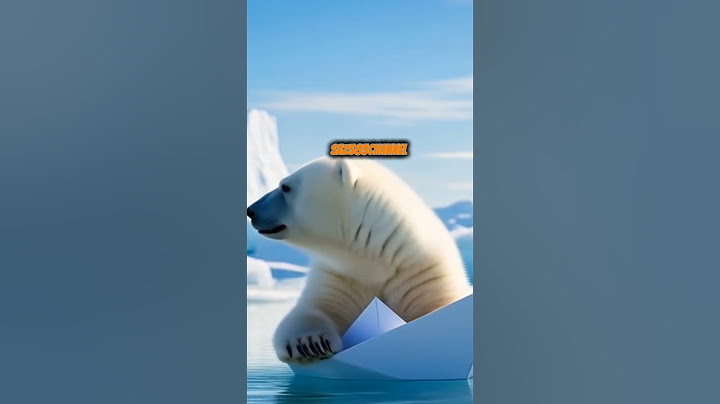 🛑Please help this poor bear