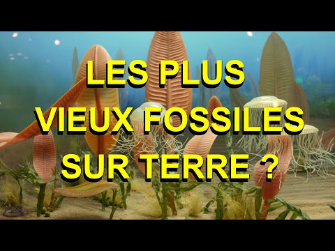 Vidéo: Où ont été trouvés les plus anciens fossiles connus ?