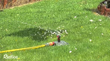 Comment arroser sa pelouse en été