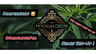 Cannabis &THE HOOKAH GROW  |  Kooperation | Neues Set-Up | #420germany  #nachtfalterag