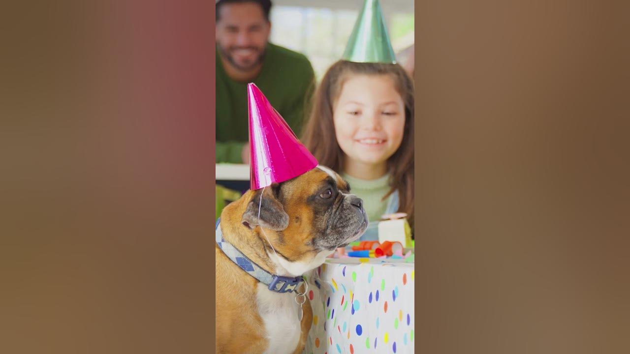 Happy Birthday from #Doggyland 🎊🎁🎈