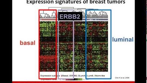 Integration of Clinical Data