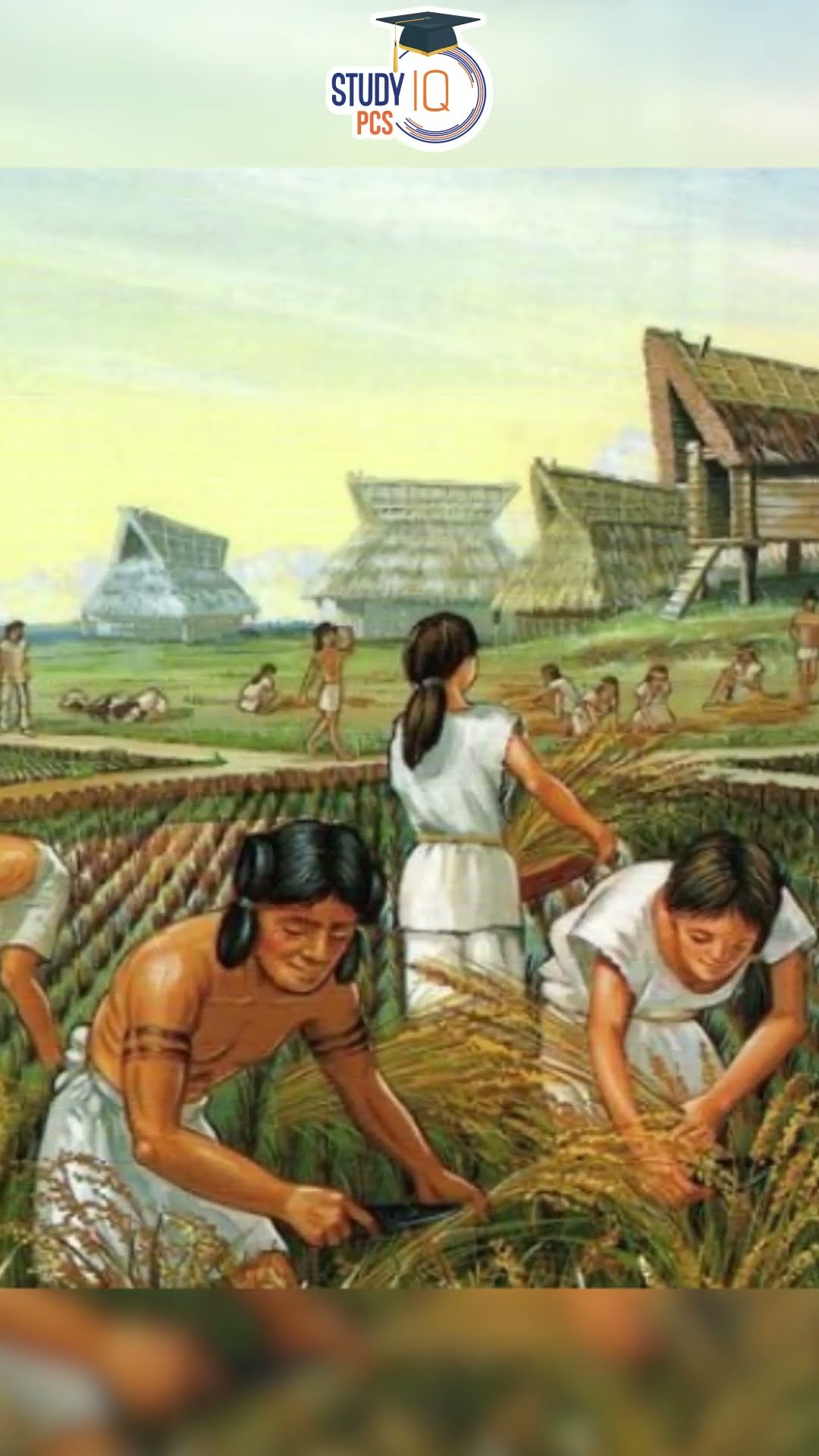 Know about Indus Valley Civilization l Dr Vipan Goyal