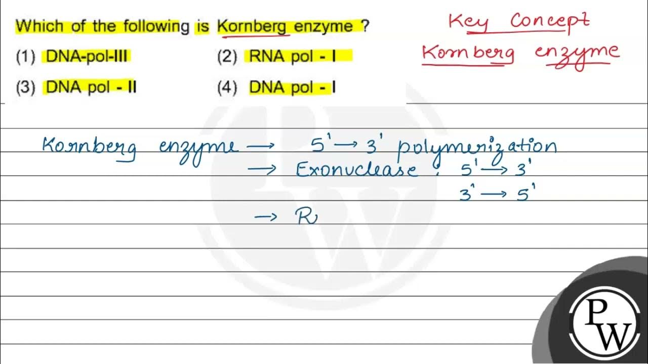 Which of the following is Kornberg enzyme? (1) DNApolIII (2) RNA pol