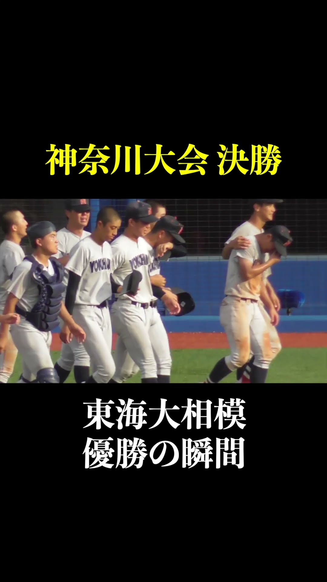 東海大相模 5年ぶり12回目の甲子園出場が決まる優勝の瞬間