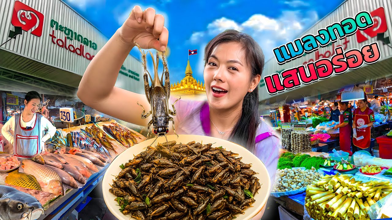 🇹🇭🇱🇦 วันนี้พามาอัพเดทราคาอาหาร พื้นบ้านที่ลาว2025 มีอะไรน่ากินบ้างไปดูกันค่ะ