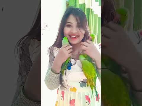 Https Www Instagram Com P DS7EqBADNXT Igsh MTgxMm5tZzZwdmh5eA 