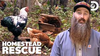 Chicken Coop Transformations 🐔 Homestead Rescue | Discovery