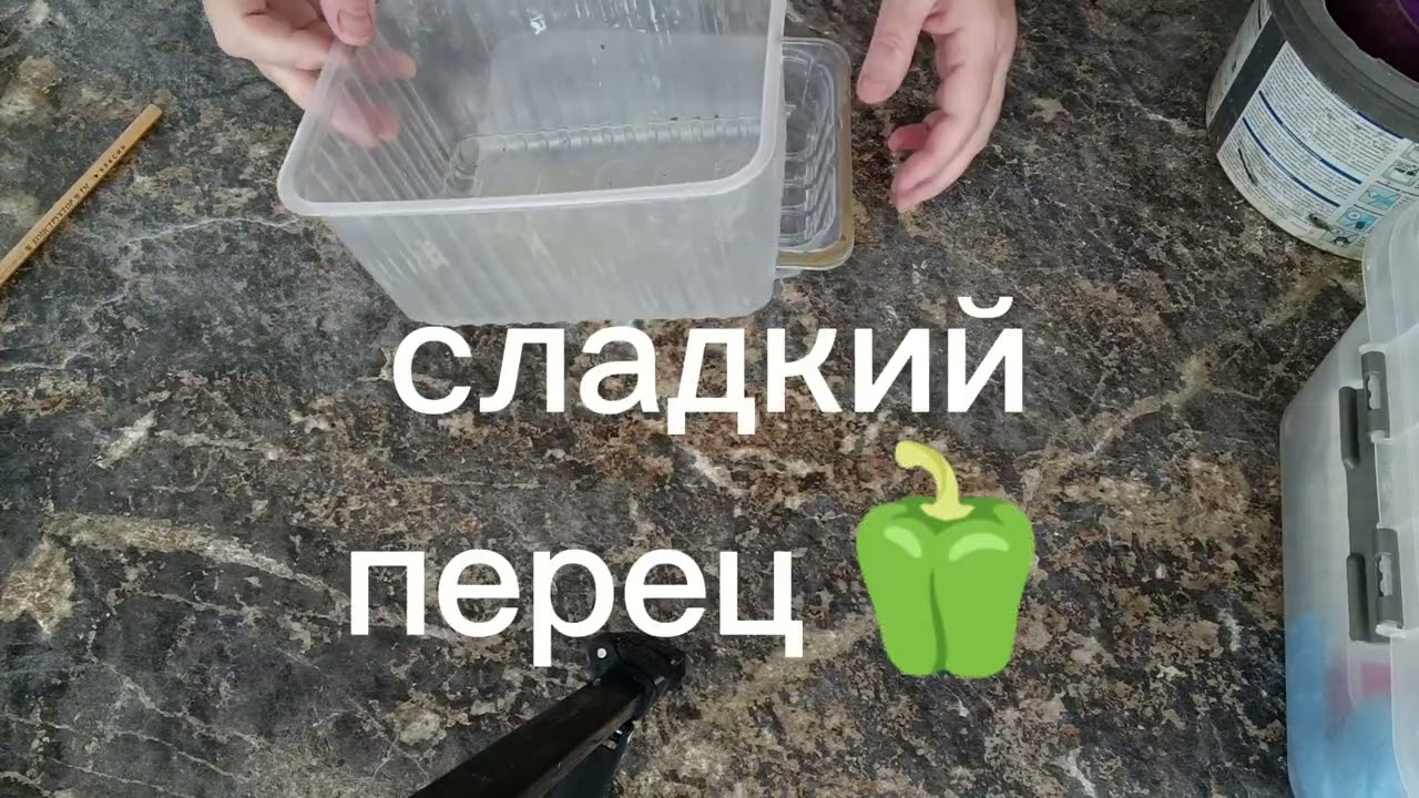 Открываю посевную, присоединяйтесь! 🍎🫑🌶