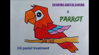 Easy PARROT drawing and colouring// Oil pastel application screenshot 1