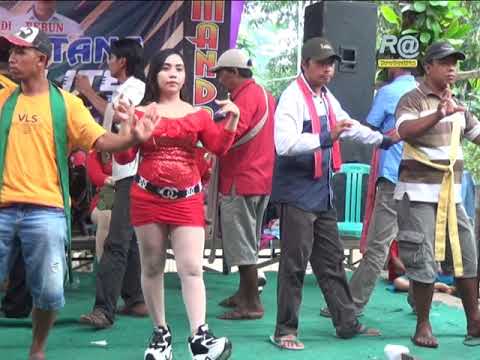 NEW AMANDA MUSIC // SLEWENGAN VERSI GUNUNGSARI