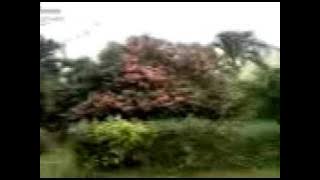 .3gp Izah comfort (108071150E)
