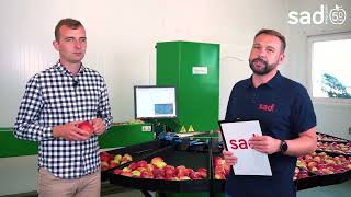 Skrojona na miarΔ: kompaktowa sortownica firmy Green Sort w praktyce