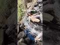 #dancinggirl #bffs #girlgamer #karbianglong #waterfallsounds #naturephotography Subscribe  my chanel