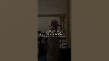 سورة الروم | محمد ابا الحسن