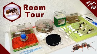 Ant Room Tour | AntsVienna Winter 2022