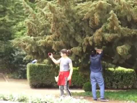 ვიდეო: Queens ბოტანიკური ბაღი: სრული გზამკვლევი