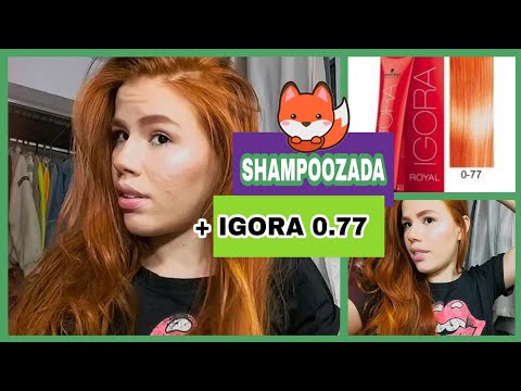 schwarzkopf igora royal 877 em cabelo pintado｜TikTok Search