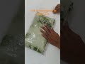 Devangi Fashion Party Wear Saree Review 😍 | Best Saree for Gifting 🎁#meesho #saree #shorts