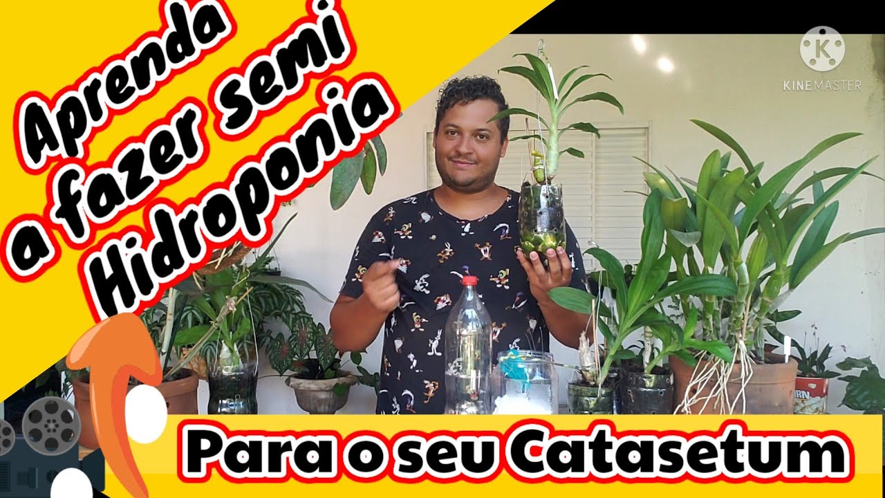 SEMI HIDROPONIA PARA CATASETUM || RESULTADOS E DICAS #replante #catasetum #orchids #orquídea #dicas